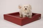 Schöne Hundebetten Hundeschlafplätze
